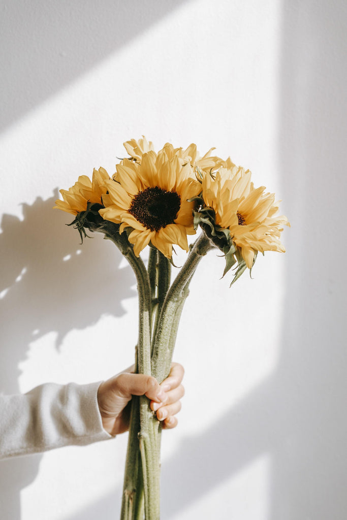 What are the best florists in or near Providence, Rhode Island? 