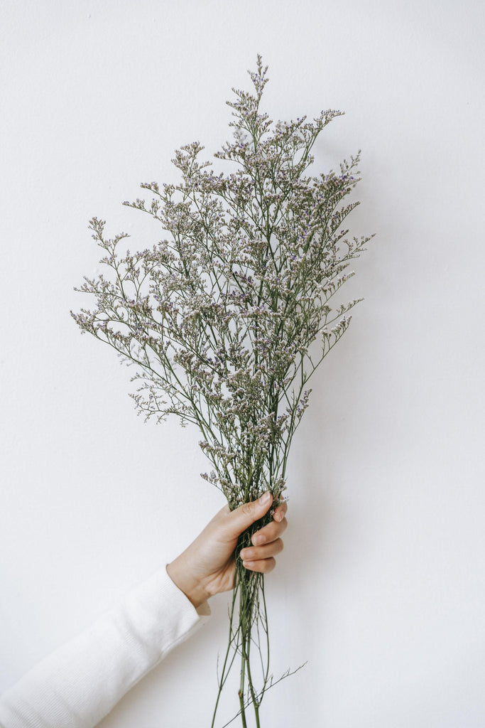 What are the best florists in or near Andover Township, New Jersey? 