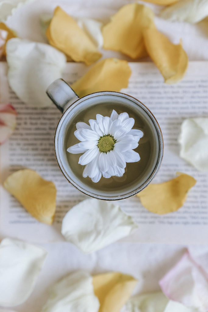 What are the best florists in or near Cincinnati, Ohio? 