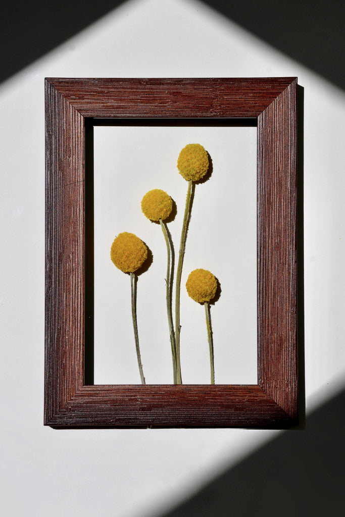 What are the best florists in or near Adams, New York? 