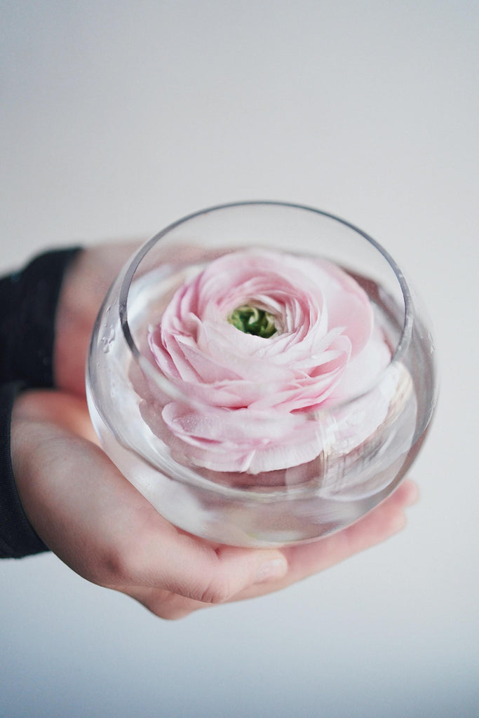 What are the best florists in or near Madison, Wisconsin? 
