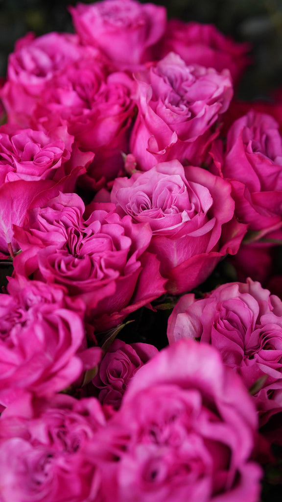 What are the best florists in or near Mount Blanchard, Ohio? 