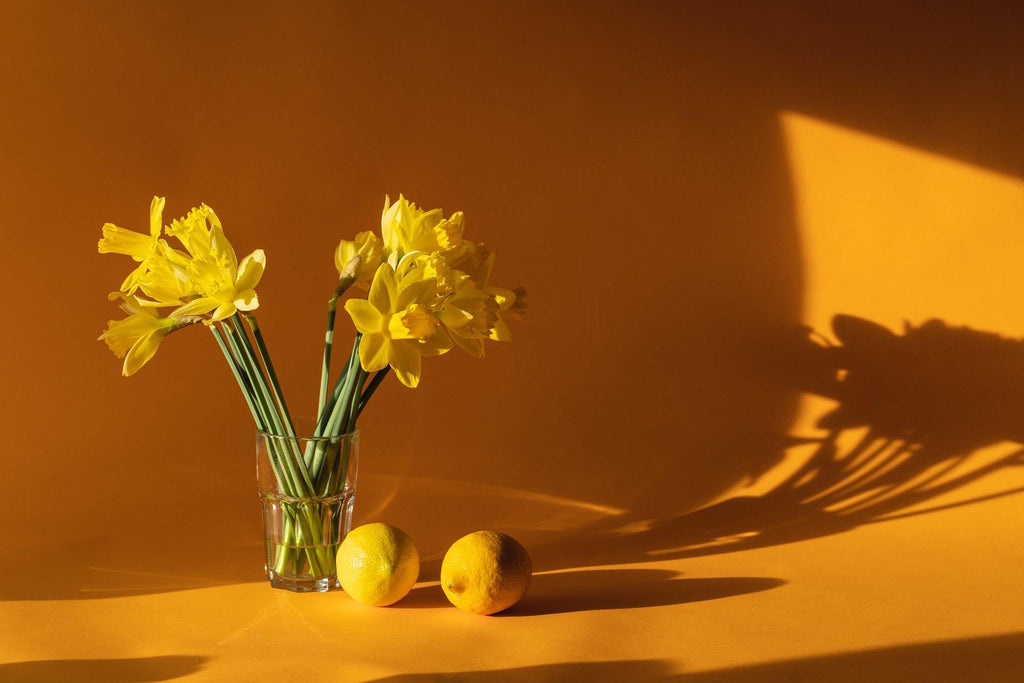What are the best florists in or near Lewisville, Texas? 