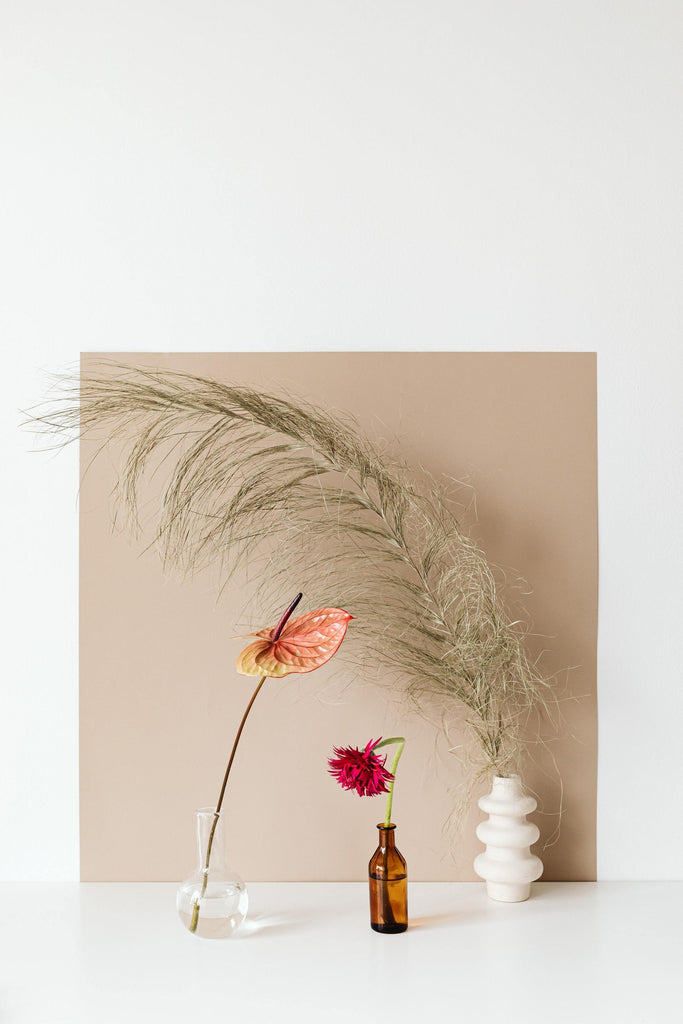 What are the best florists in or near Ames, Iowa? 
