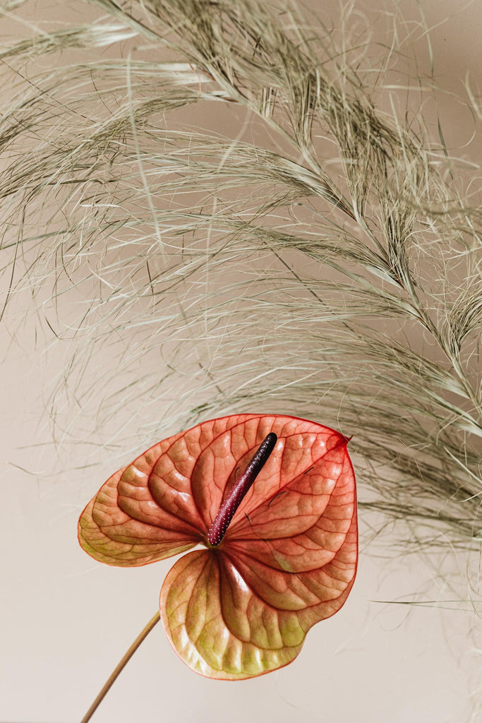 What are the best florists in or near Berwyn, Illinois? 