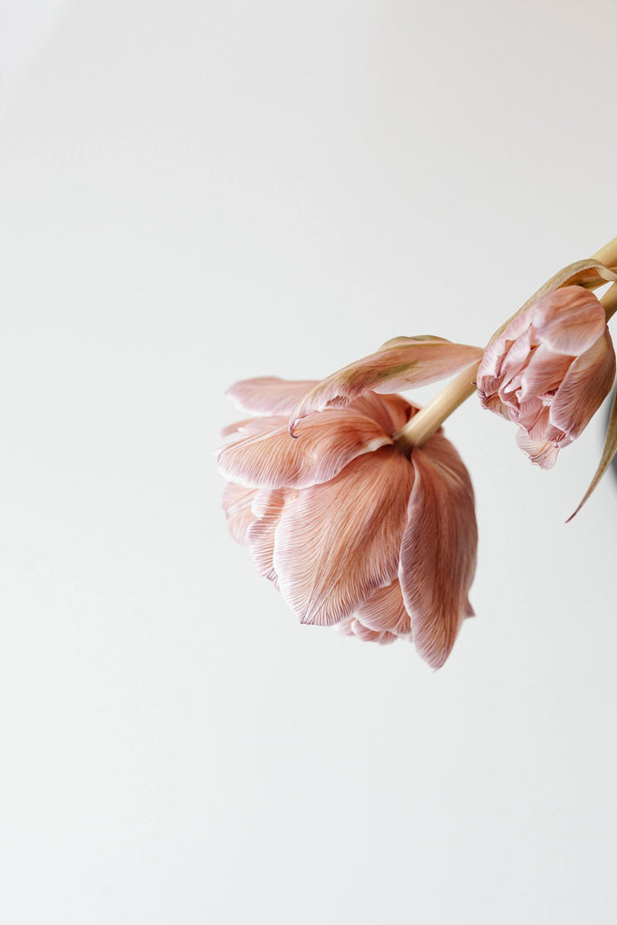 What are the best florists in or near Billings, Montana? 