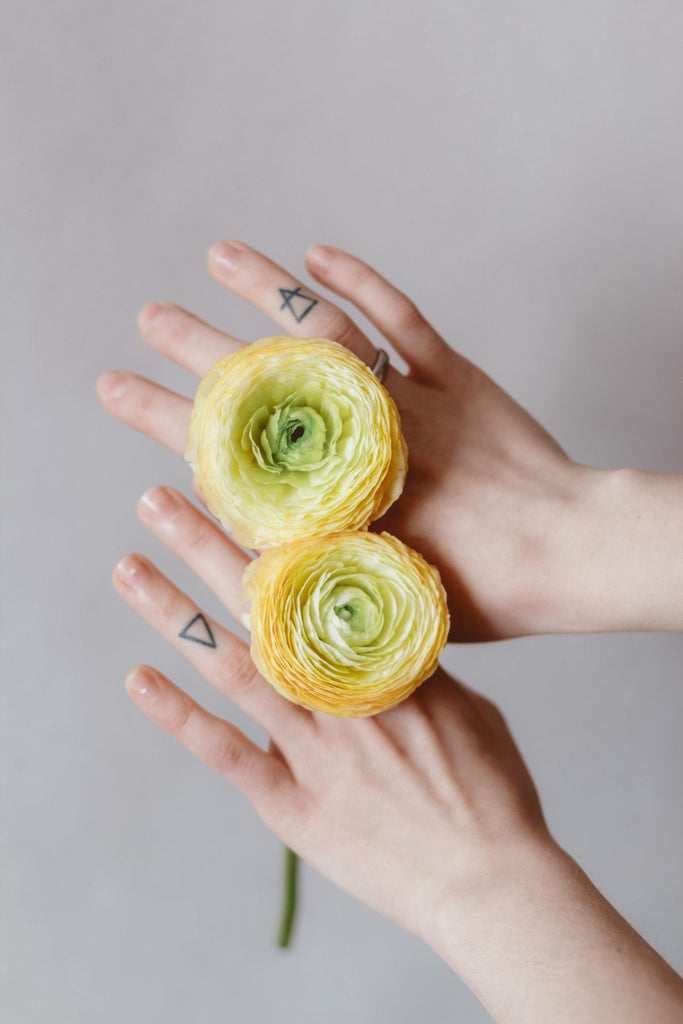 What are the best florists in or near Agate, Colorado? 