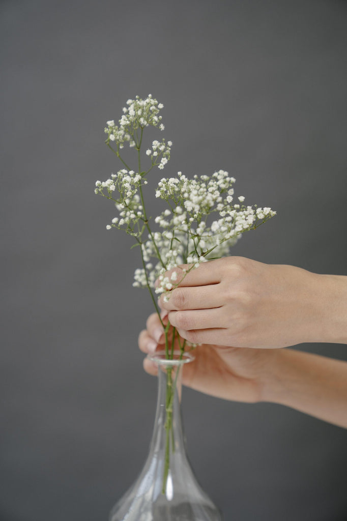 What are the best florists in or near Asheville, North Carolina? 