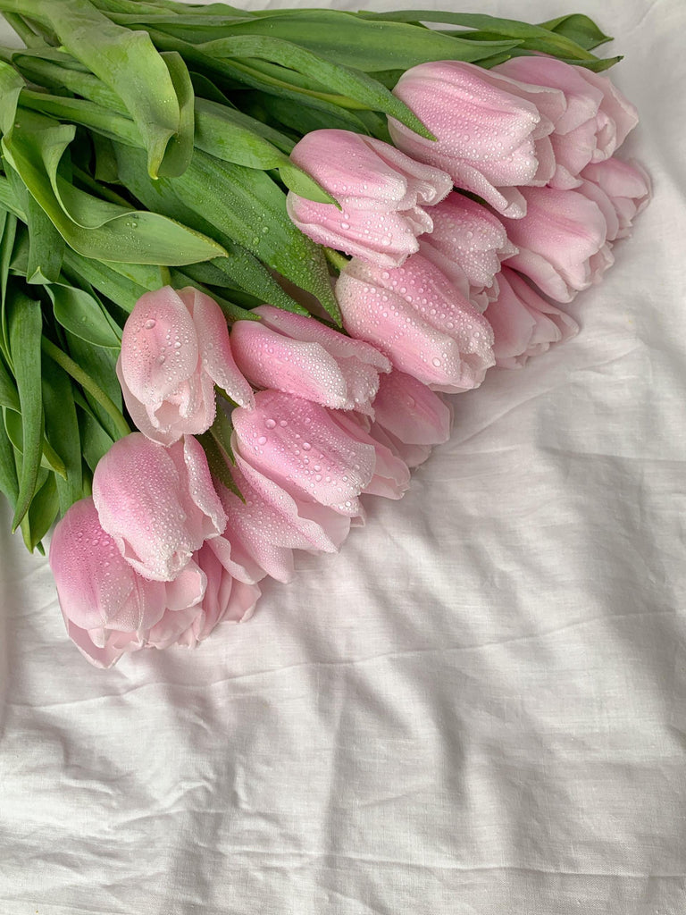 What are the best florists in or near Alger, Ohio? 