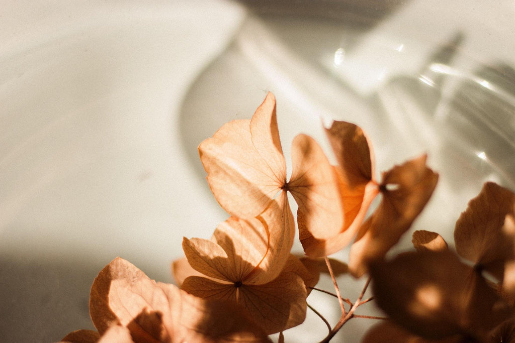What are the best florists in or near Melbourne, Florida? 