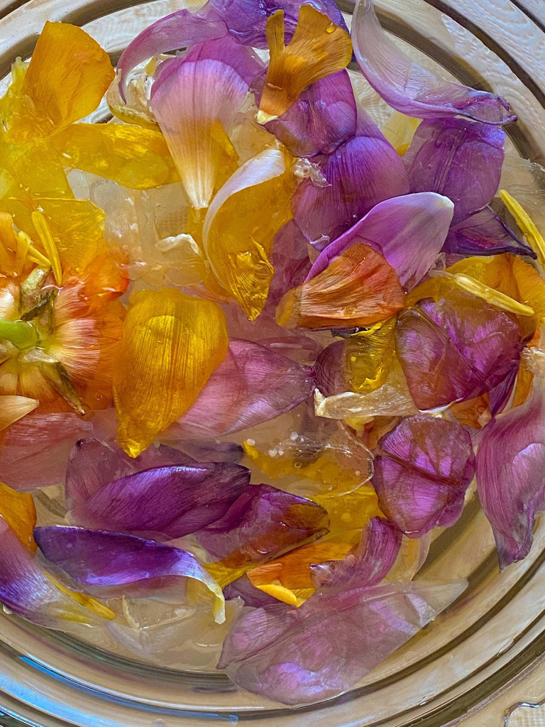 What are the best florists in or near East Nassau, New York? 
