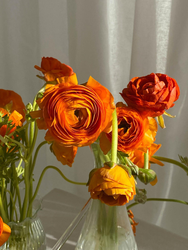What are the best florists in or near Maynard, Arkansas? 