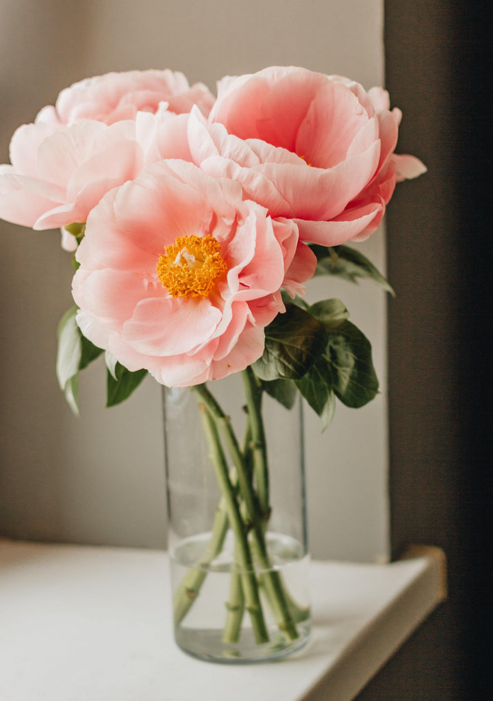 What are the best florists in or near Alpine, Arizona? 