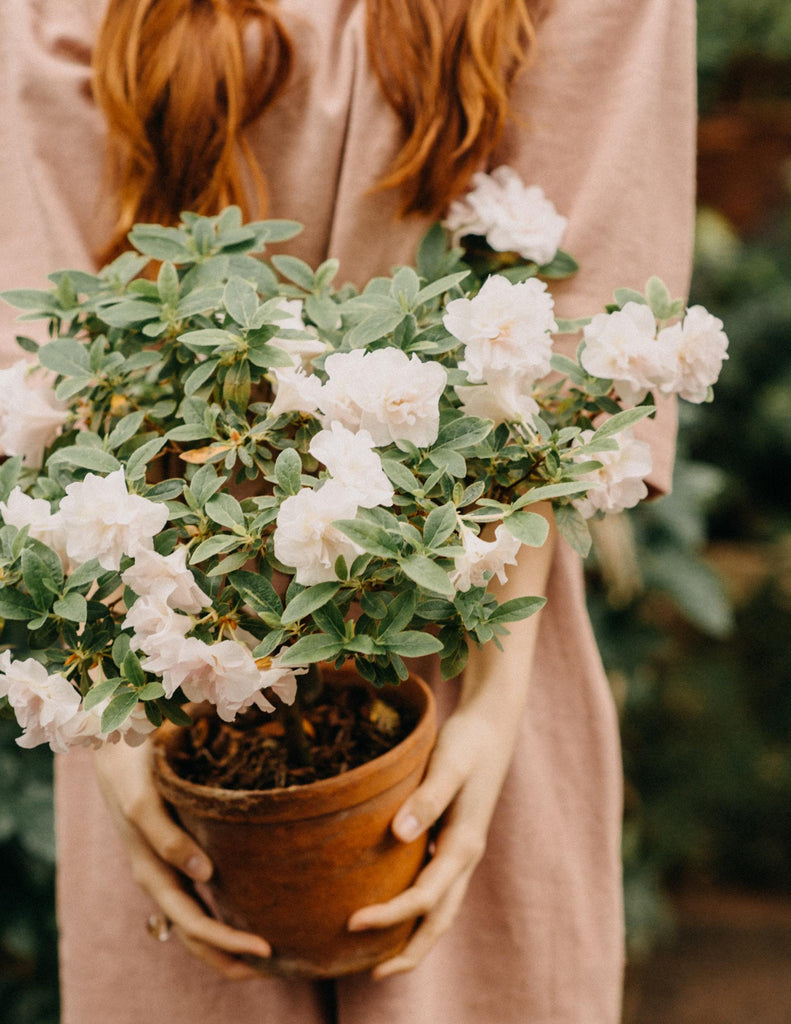 What are the best florists in or near Moorpark, California? 