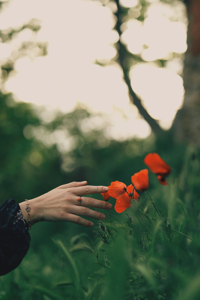 What are the best florists in or near Edina, Minnesota? 