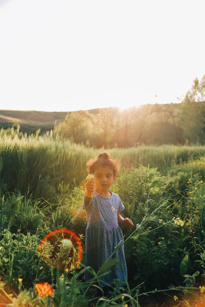 What are the best florists in or near Joplin, Missouri? 