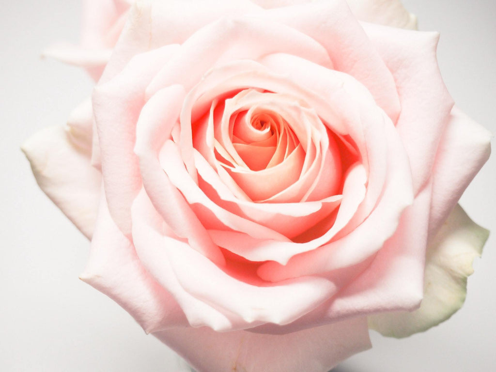 What are the best florists in or near Norwood, Missouri? 