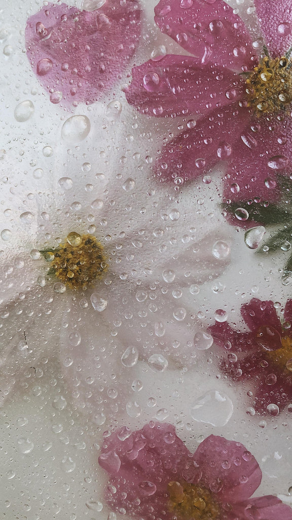 What are the best florists in or near Arvada, Colorado? 
