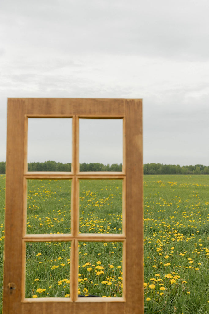 What are the best florists in or near Worcester, Massachusetts? 