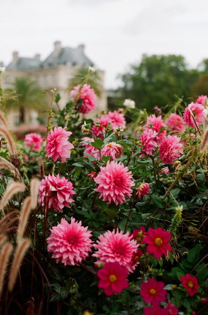 What are the best florists in or near Diamondville, Wyoming? 