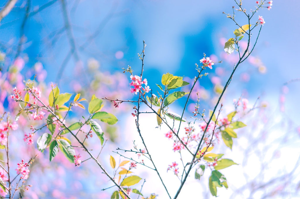 What are the best florists in or near Greene, Rhode Island?