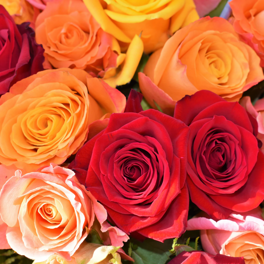 Our Valentine's Day Collection