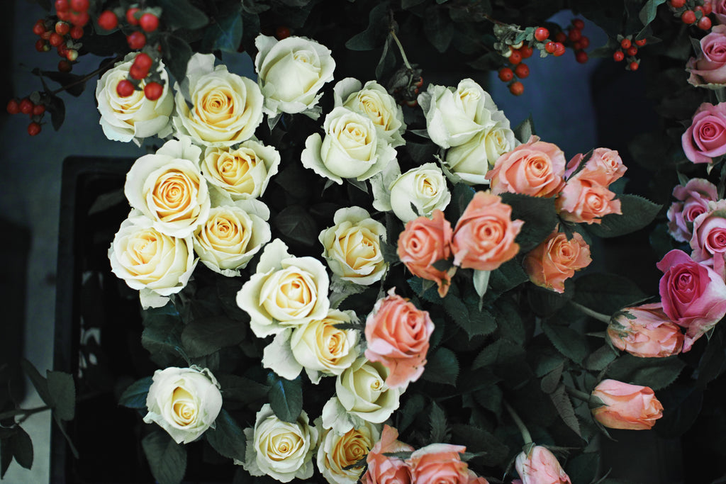 The Many Meanings of the Rose Flower (Rose Symbology & Meanings)