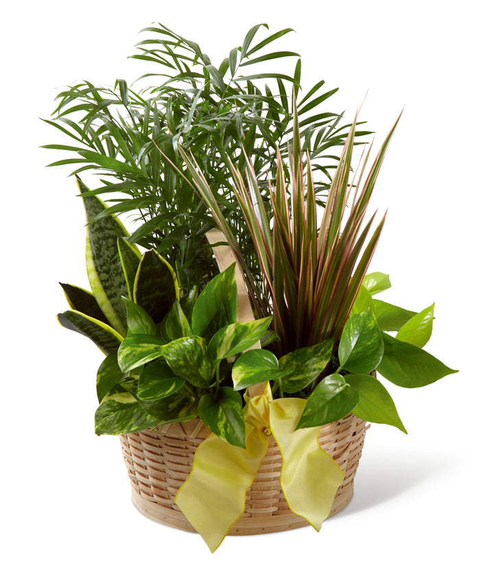 French Garden - Same Day Flower Delivery