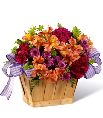 The New Dream Basket