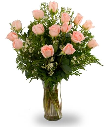 Fifteen peach roses - Same Day Flower Delivery