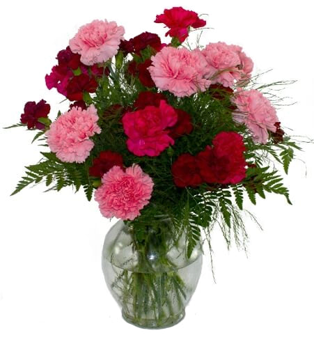Carnation vase - Same Day Flower Delivery