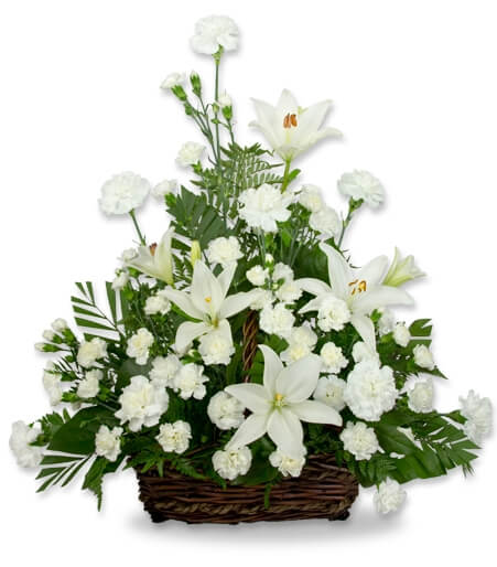 Serene Lily Basket - Same Day Flower Delivery