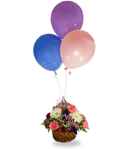 Best Wishes Basket And Balloons - Same Day Flower Delivery