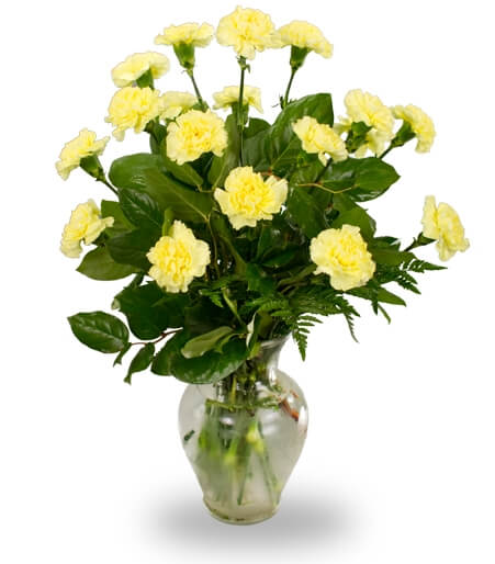 Eighteen carnations in a clear vase - Same Day Flower Delivery