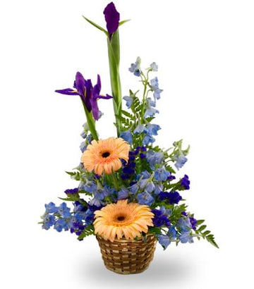 A basket arrangement for a baby boy