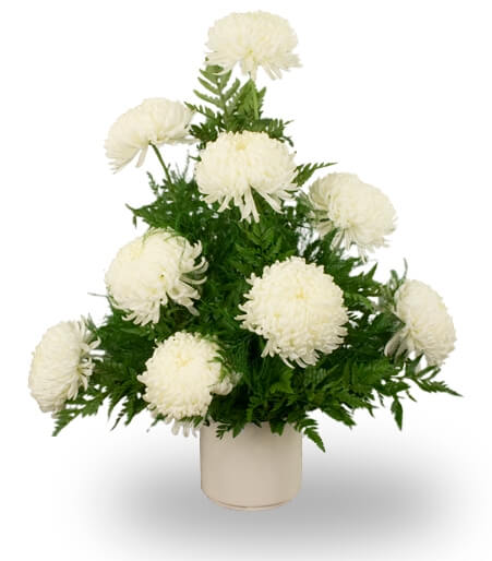 Chrysanthemum Arrangement - Same Day Flower Delivery