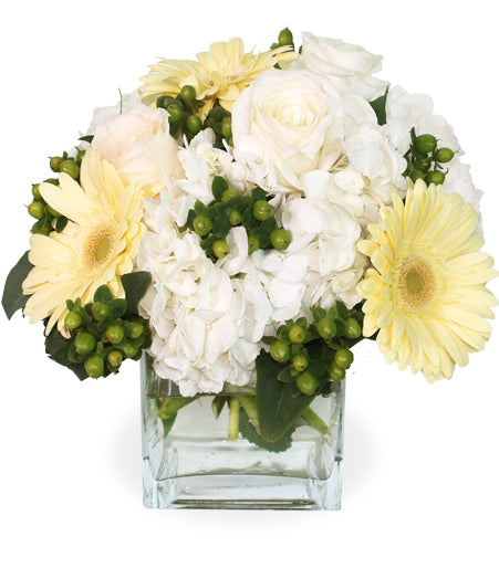A Touch Of Class - Same Day Flower Delivery