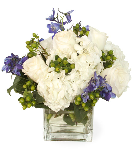 Calming Breeze - Same Day Flower Delivery
