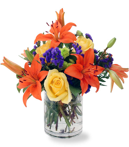 Lily Surprise - Same Day Flower Delivery