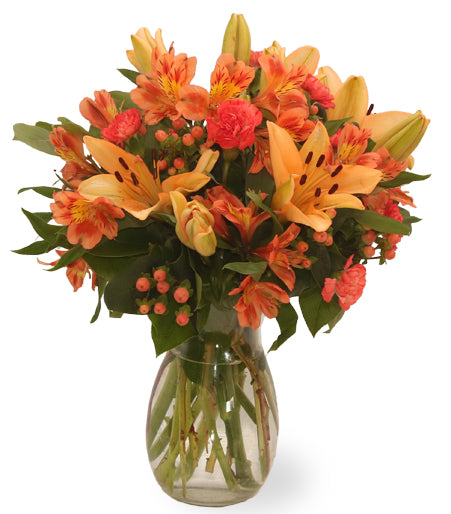 Orange Delight - Same Day Flower Delivery