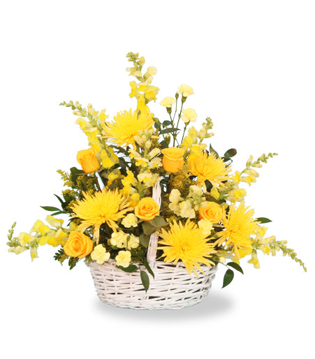 Yellow Splash Basket - Same Day Flower Delivery