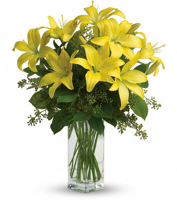 Lily Sunshine
