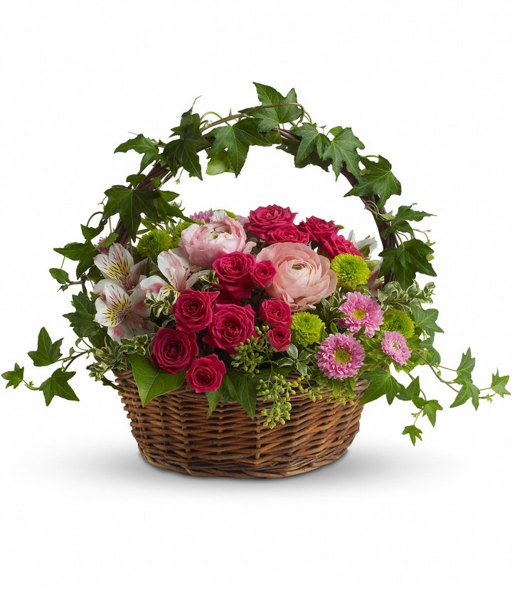 Fairest of All - Same Day Flower Delivery