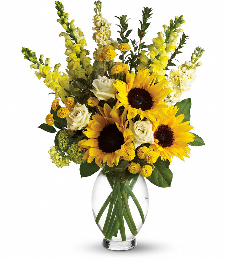 Here Comes The Sun - Same Day Flower Delivery