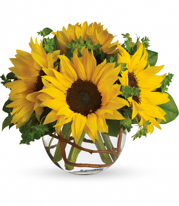 Sunny Sunflowers - Same Day Flower Delivery