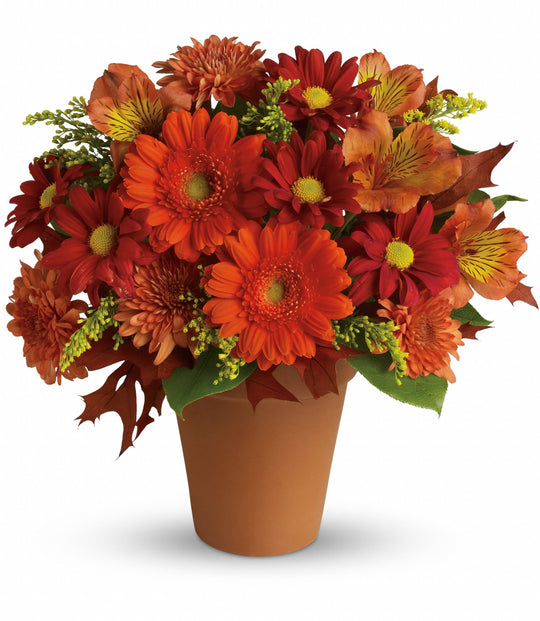 Golden Glow - Same Day Flower Delivery