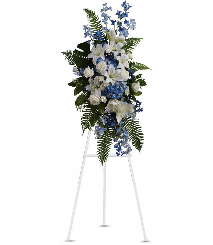 Ocean Breeze Spray - Same Day Flower Delivery