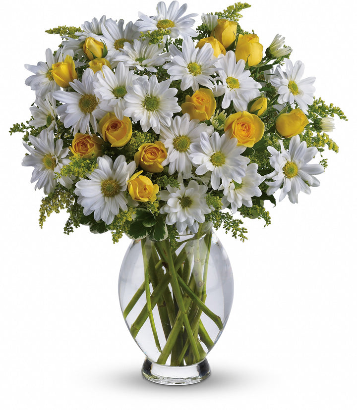 Amazing Daisy - Same Day Flower Delivery