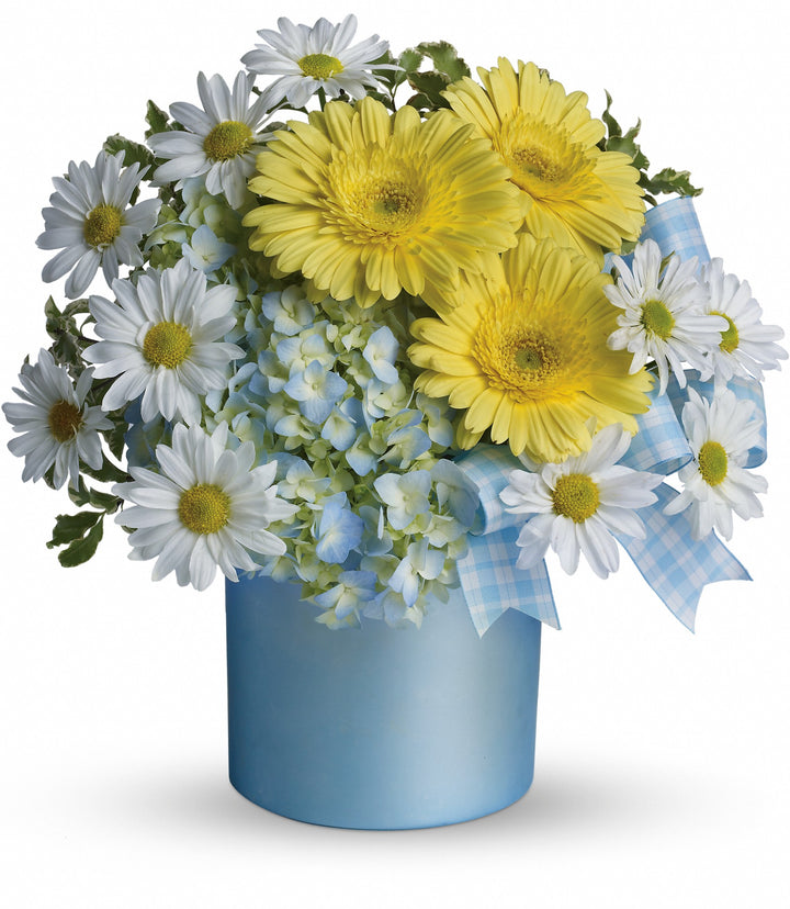 Once Upon a Daisy - Same Day Flower Delivery