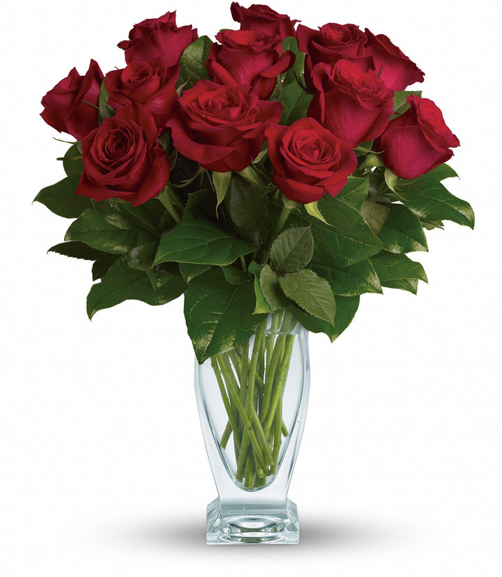 Rose Classique - Same Day Flower Delivery
